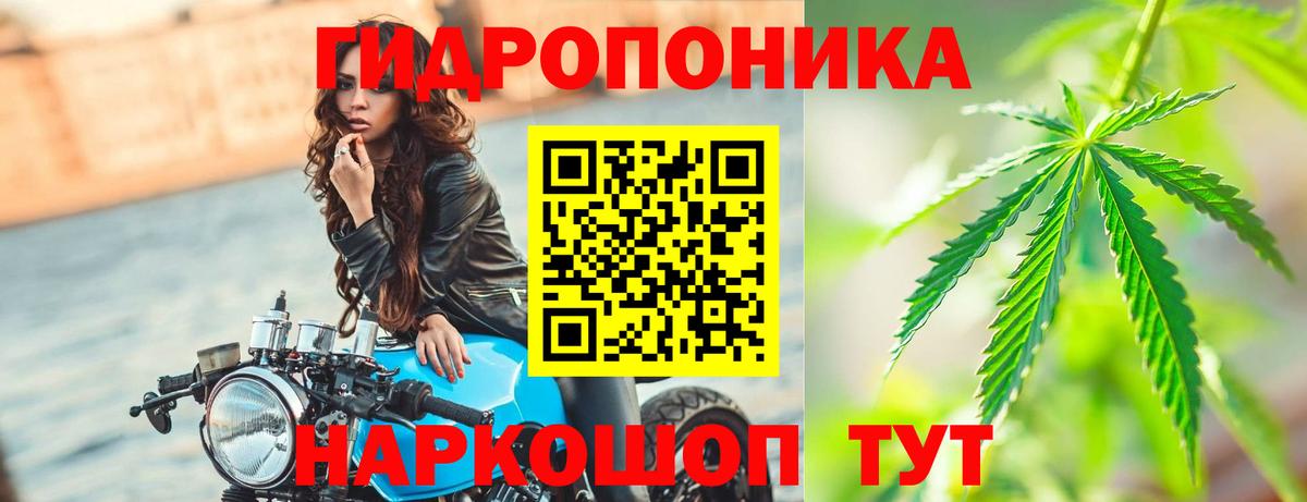 Бошки Шишки LSD WEED Губаха